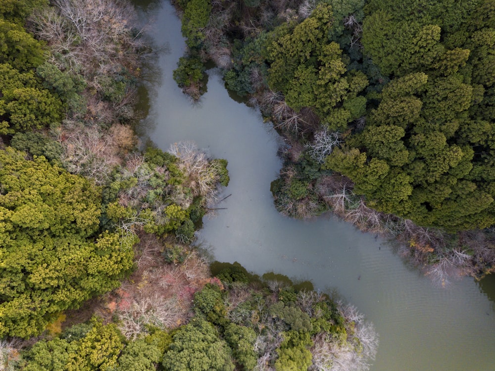 bird's eye view of river