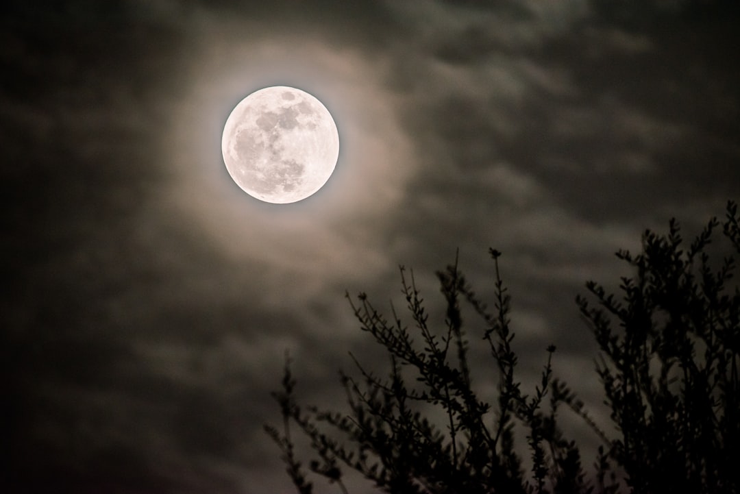 Фото ночь Луна. Низшая Луна. 5 низшая луна