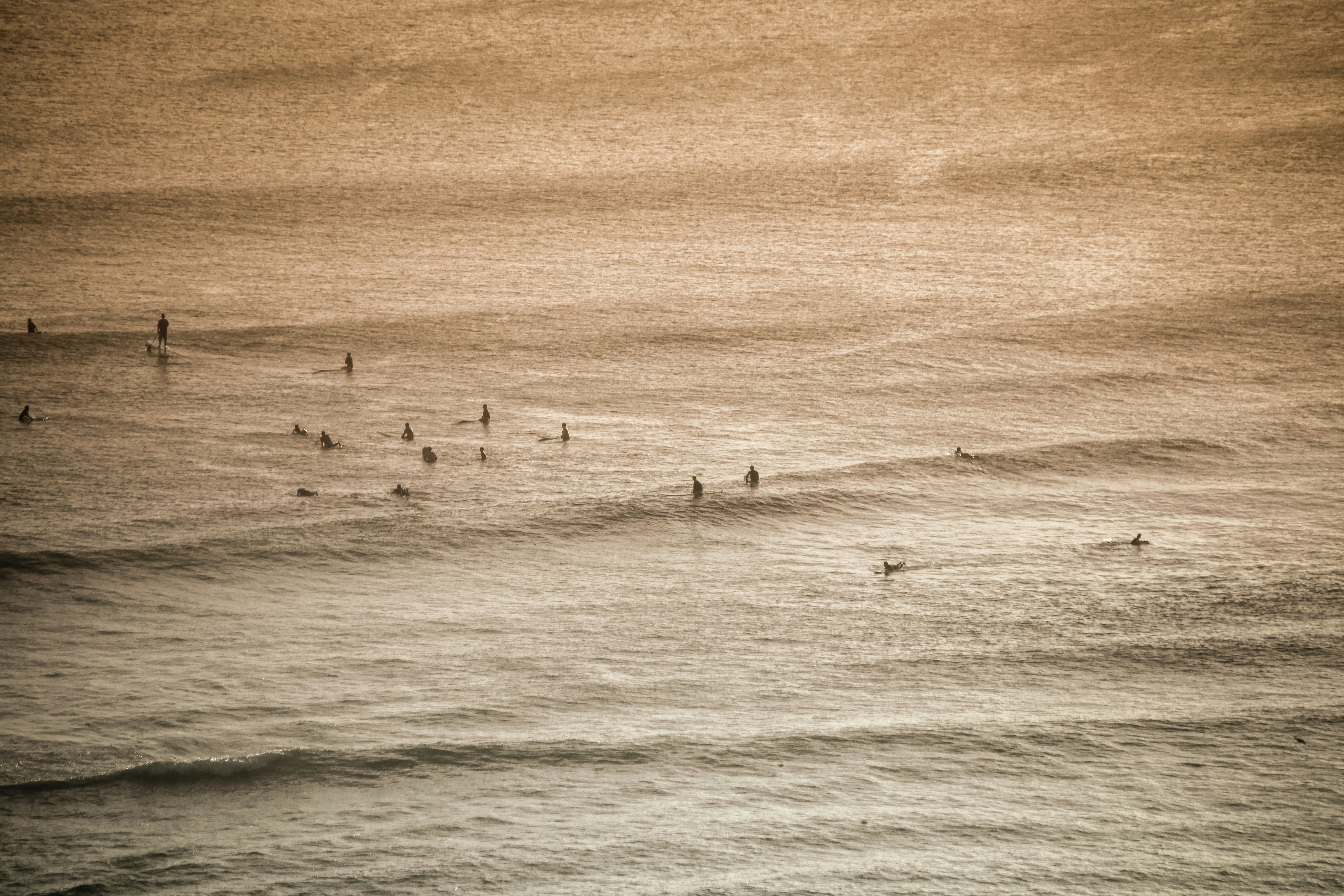 Surfers waiting for waves