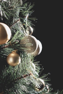 Close-up of elegant Christmas ornaments hanging on a tree.