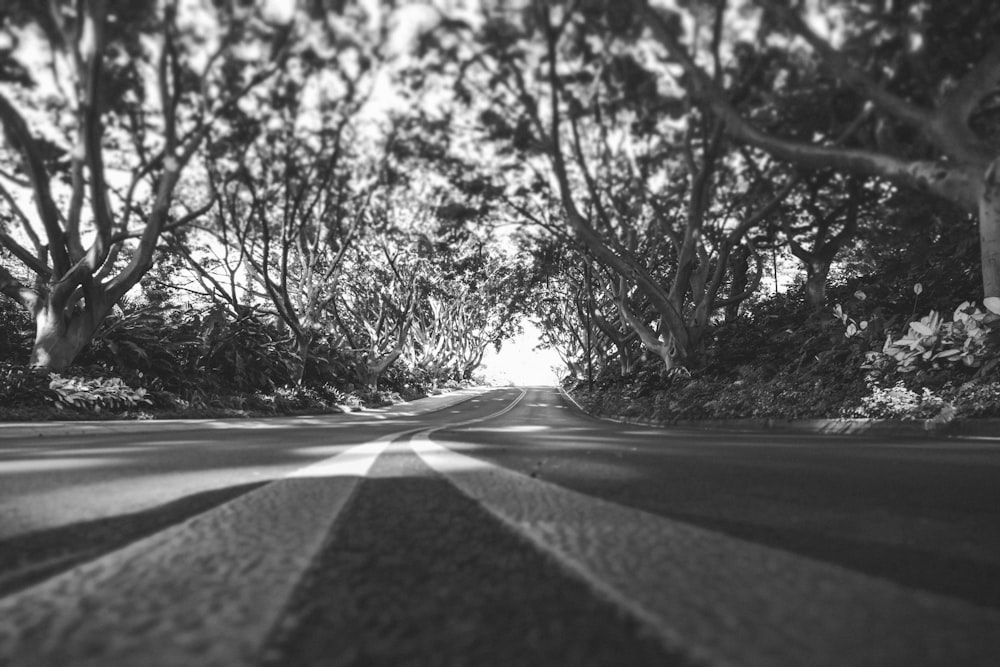 Fotografía en escala de grises de una carretera de hormigón
