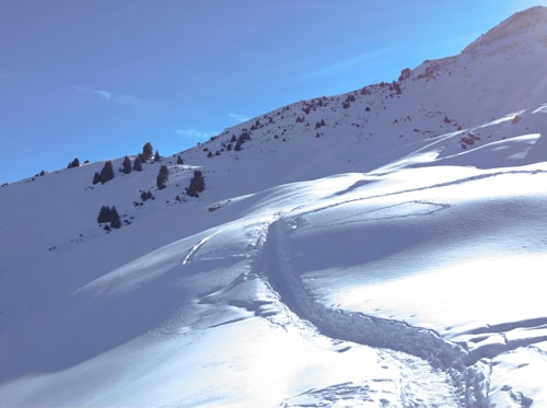 A snowy mountainous landscape with a clear blue sky and traces of footprints leading up a slope. Sparse trees dot the hillside, adding contrast to the white snow.
