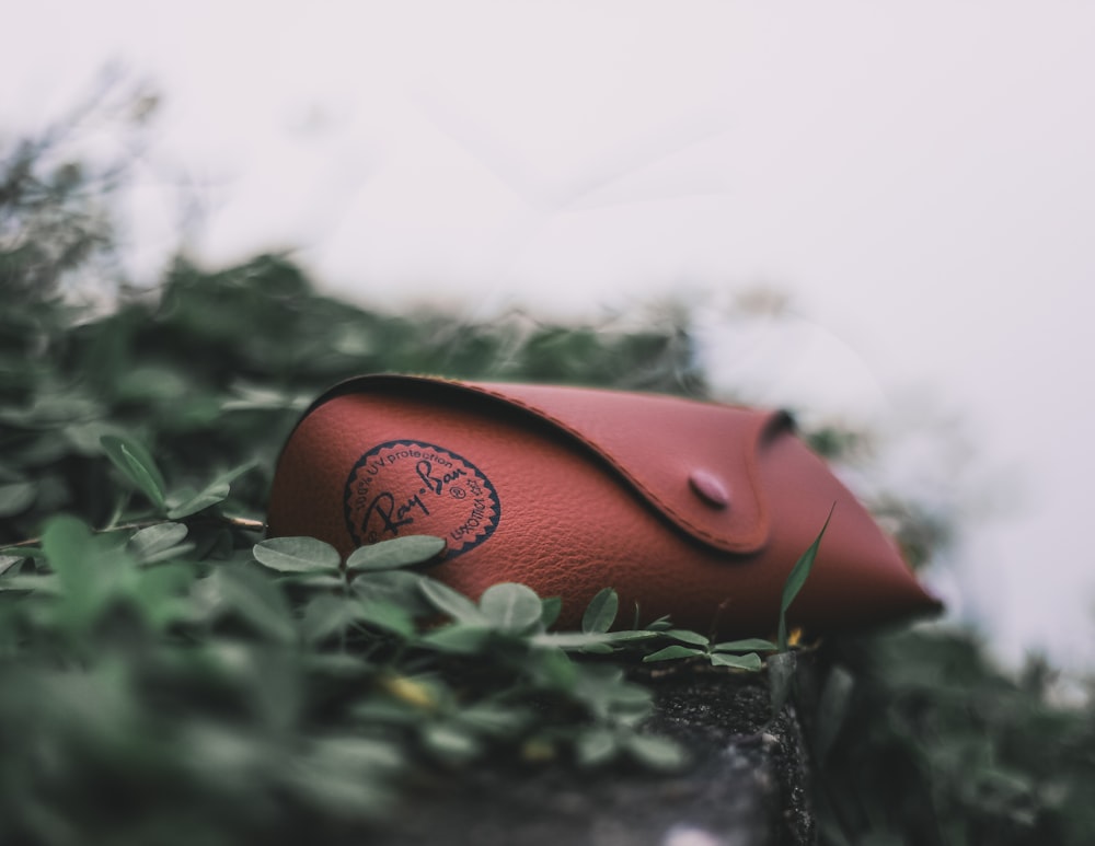 red Ray-Ban eyeglass case on leafed plants during daytime