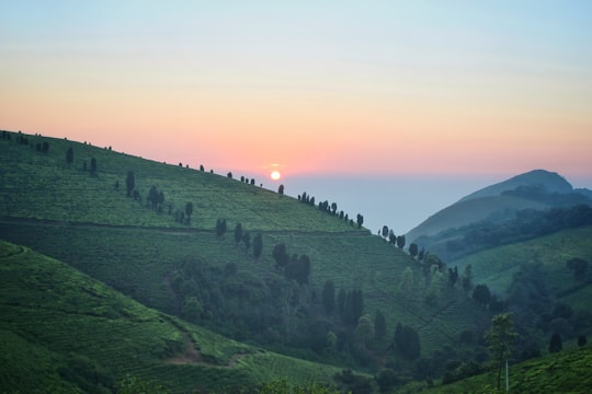 landscape shot of hills in Naduvattam India