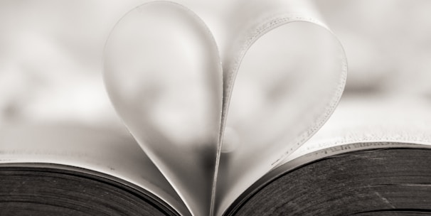 heart shape book page close-up photography