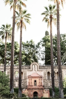 A historic architectural structure with intricate designs and arches stands amid tall palm trees and lush greenery. The stone facade features detailed carvings and a central pinkish-red ornamented element, adding contrast to the surrounding foliage.