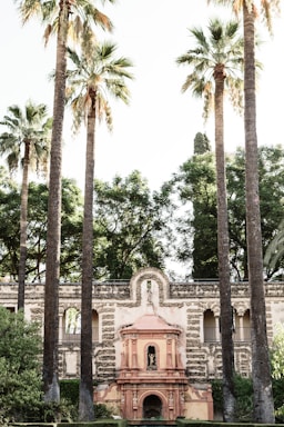 A historic architectural structure with intricate designs and arches stands amid tall palm trees and lush greenery. The stone facade features detailed carvings and a central pinkish-red ornamented element, adding contrast to the surrounding foliage.