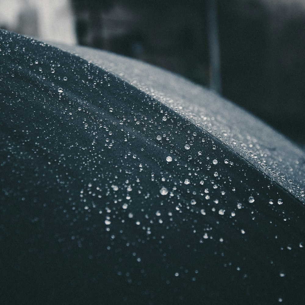 dew on black textile