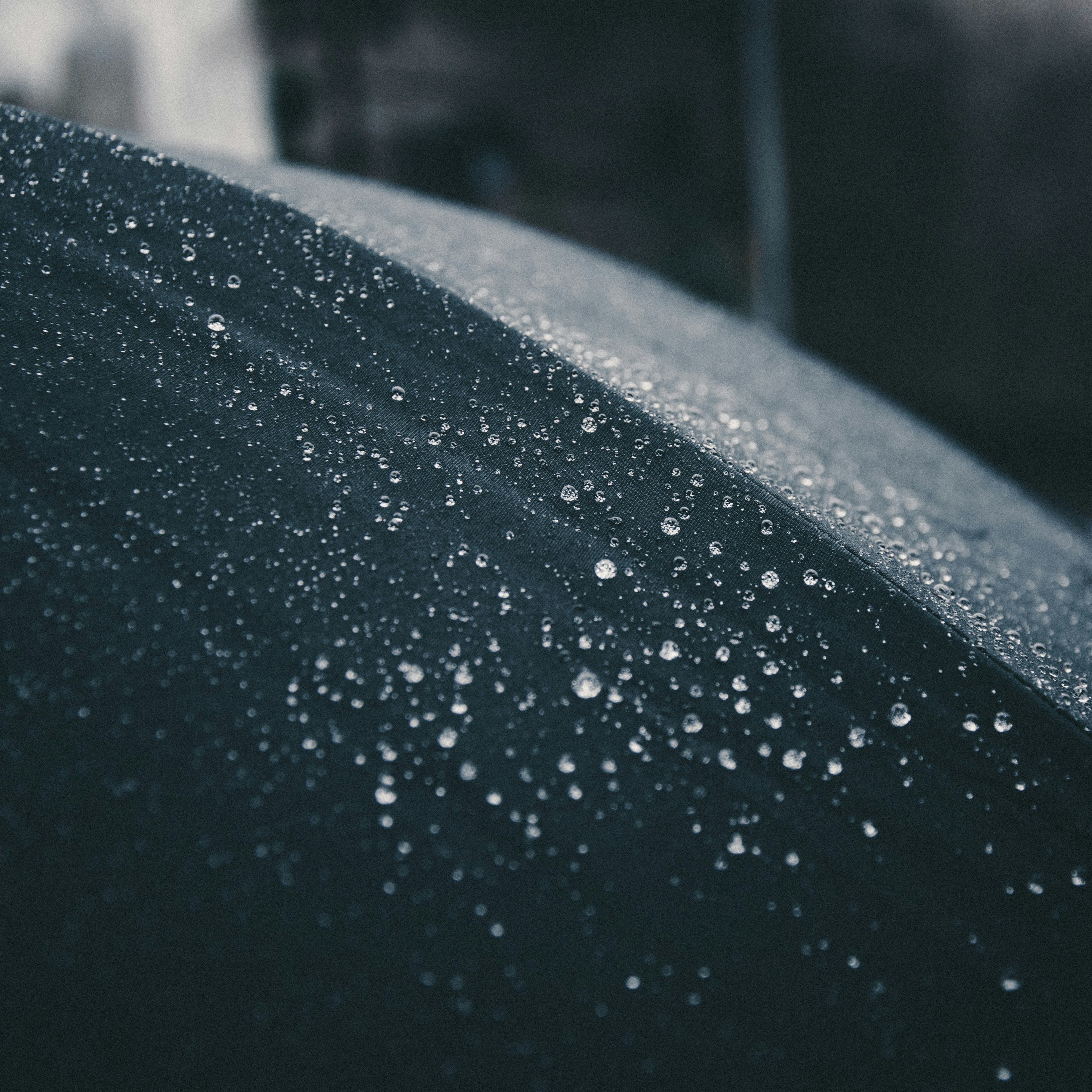 Choose from a curated selection of grey wallpapers for your mobile and desktop screens. Always free on Unsplash.
