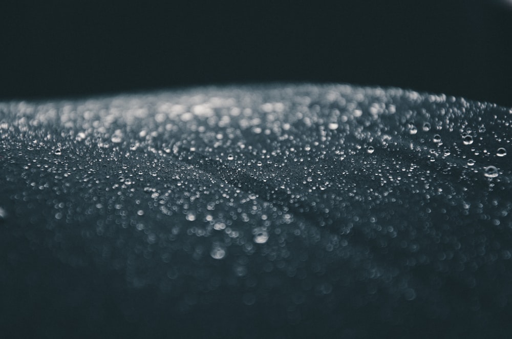 a black and white photo of water droplets