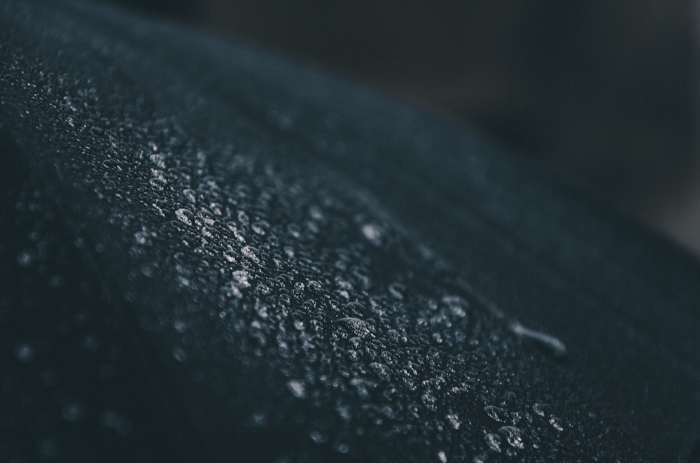 closeup photo of water droplets