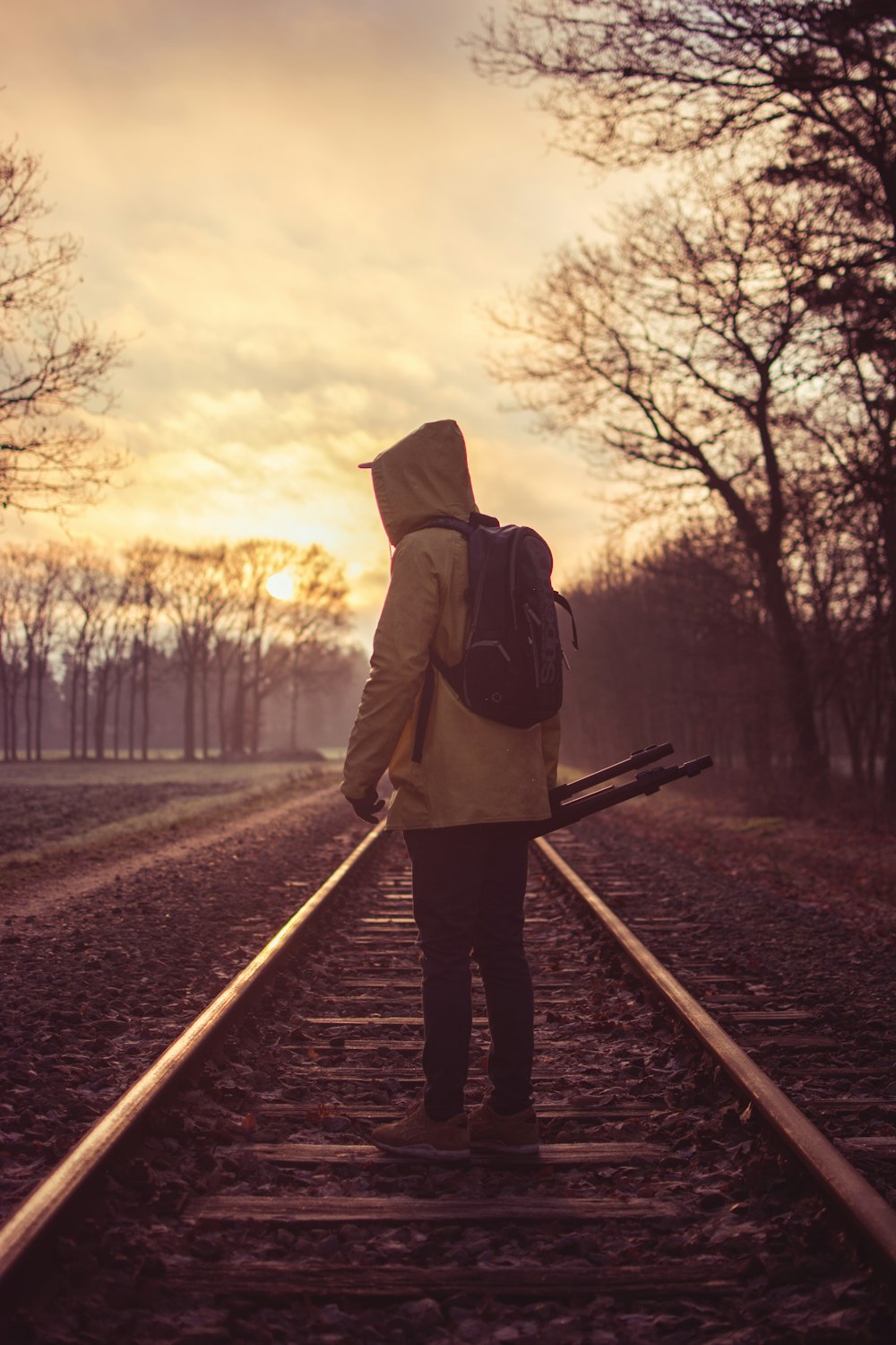 person on train rails near bare trees at daytime