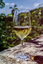 Close-up of a wine glass catching sunlight near a natural stone fountain in an outdoor setting.