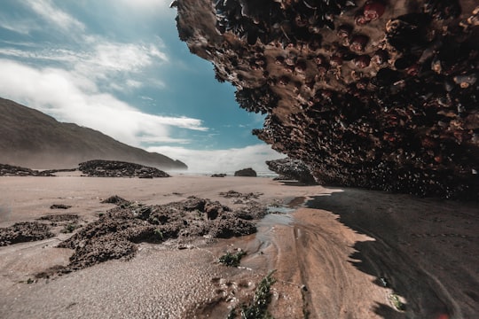 Farewell Spit things to do in Wainui Falls