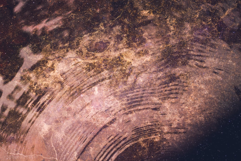 a close up of a rock with a sky in the background