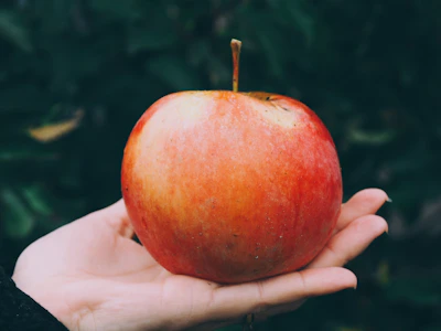 Close-up of a hand gently holding a perfectly ripe apple, highlighting texture.