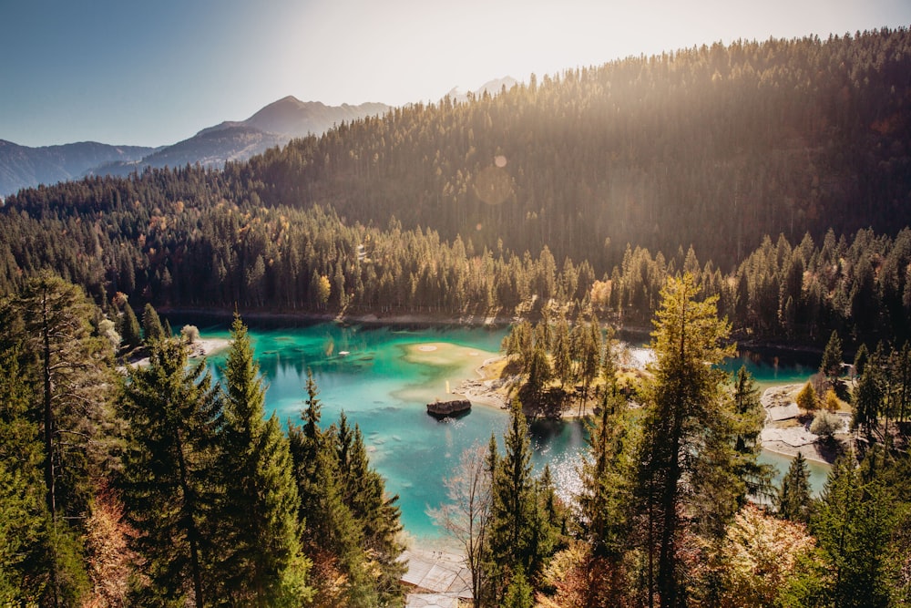 body of water surrounded by green trees under sunny sky