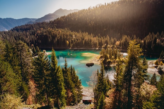 river surrounded by trees in Caumasee Lake Switzerland