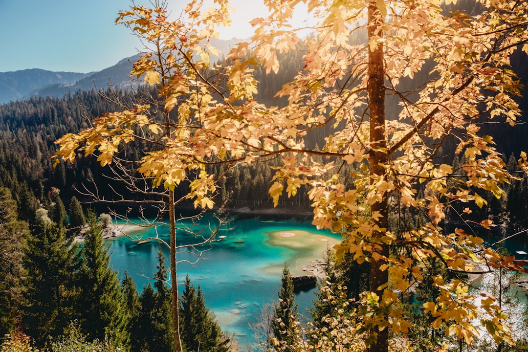 Nature reserve photo spot Caumasee Morteratsch Glacier