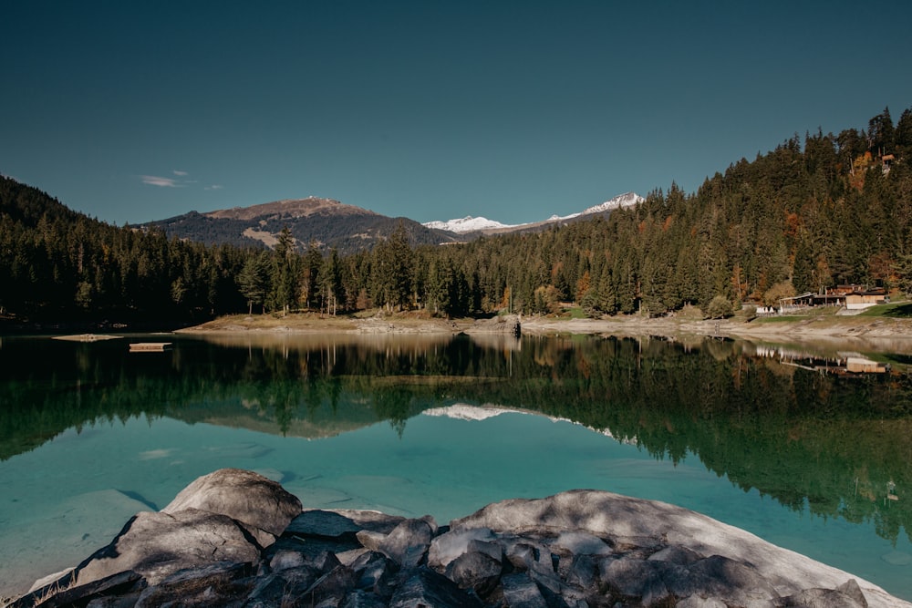 body of water near green trees under blue sky during daytime