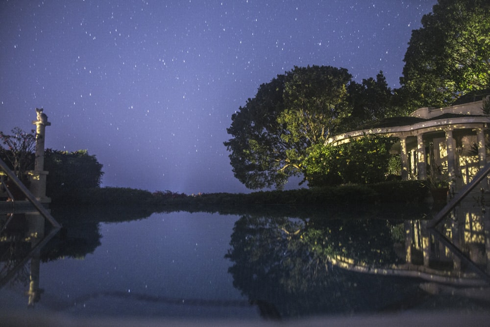 body of water near trees