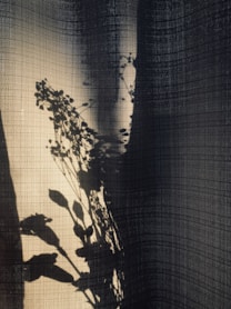 shadow of flowers on fabric