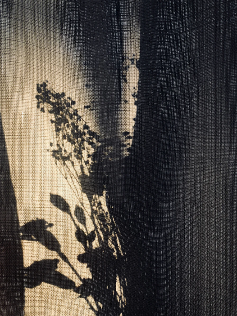 Leaf shadows falling on a linen curtain