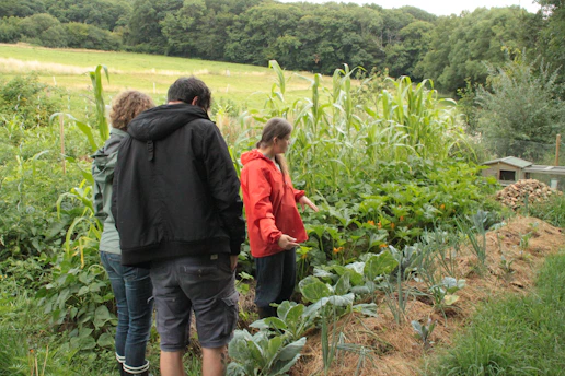 Three people are standing in a lush garden full of various plants and vegetables. The greenery is dense, and the individuals seem to be observing or discussing the plants. The surrounding area is a natural landscape with trees and a grassy field in the background.