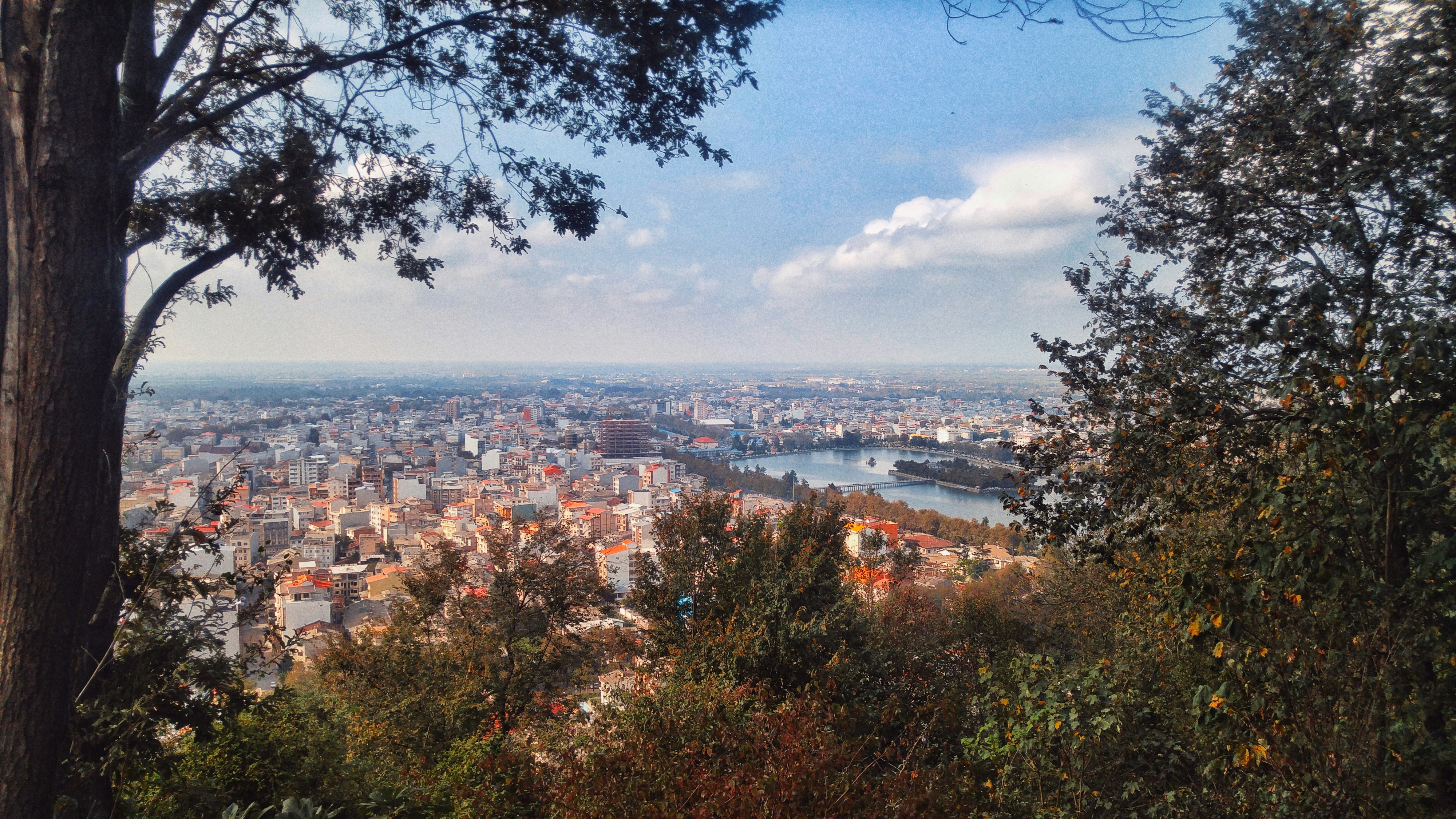 Photo by alirezanajdshad