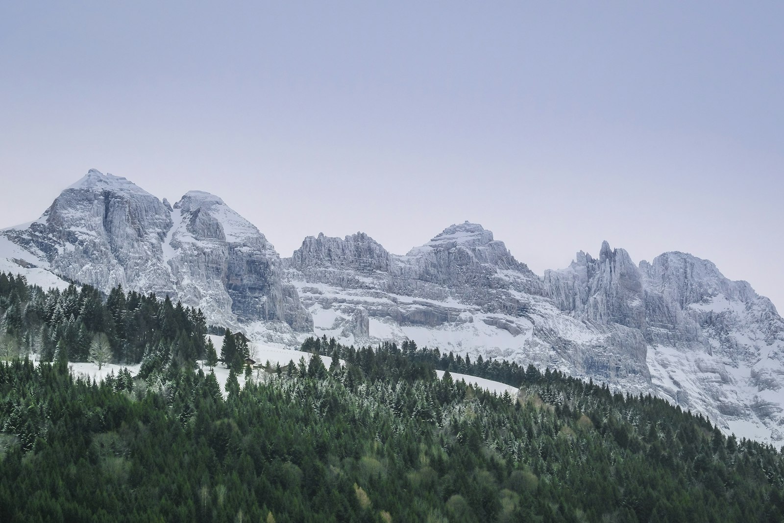 Fujifilm XF 50-140mm F2.8 R LM OIS WR sample photo. Landscape photograph of forest photography