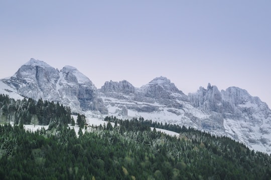 landscape photograph of forest during winter in Dents du Midi Switzerland