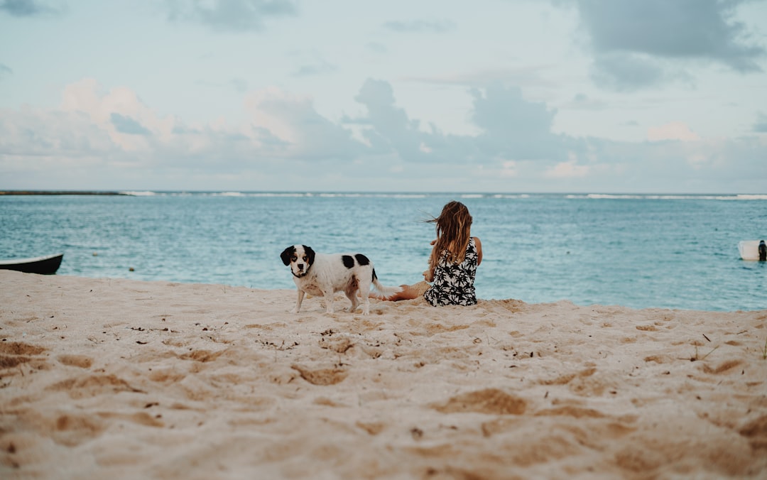 woman sitting on shore beside Saint Bernard puppy at daytime