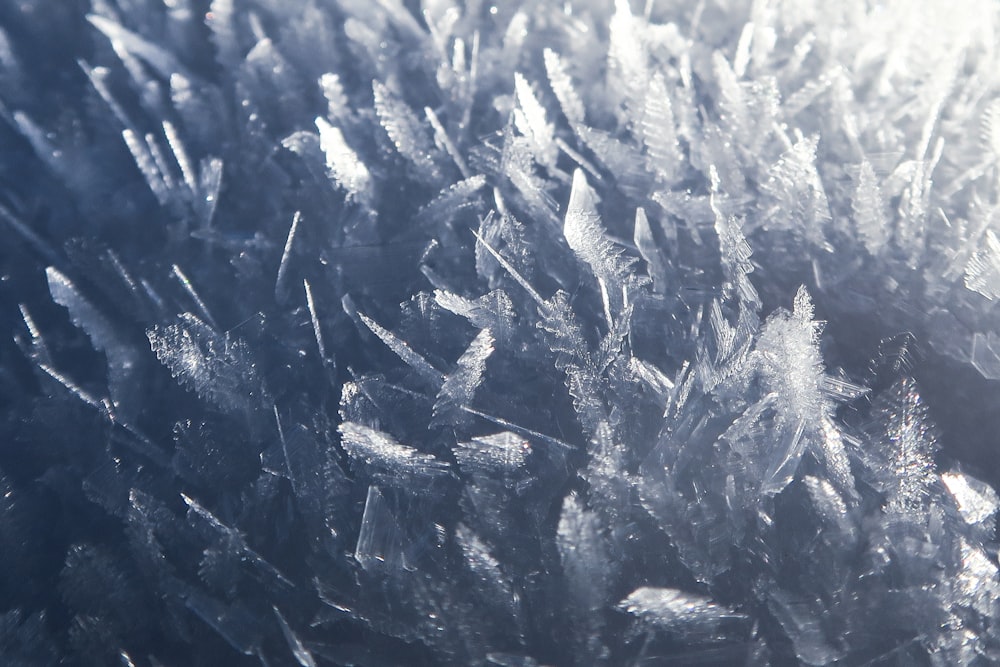 closeup photo of ice formation field