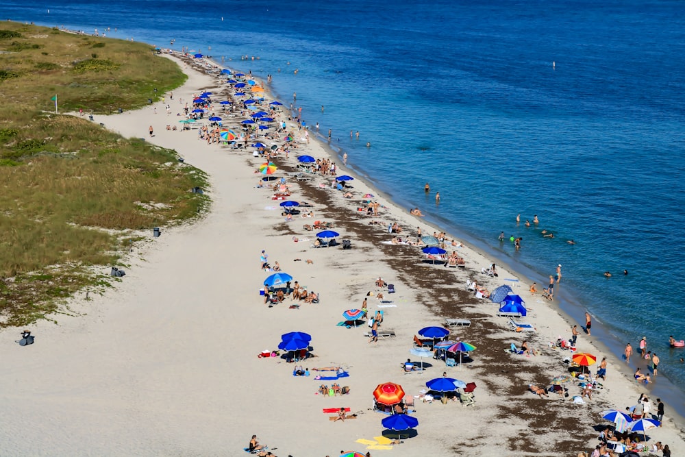 personnes sur la plage pendant la journée