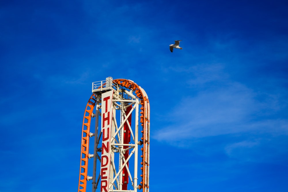 photo of bird near red and white tower