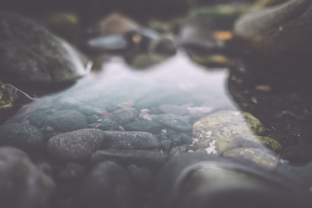 body of water in between rocks