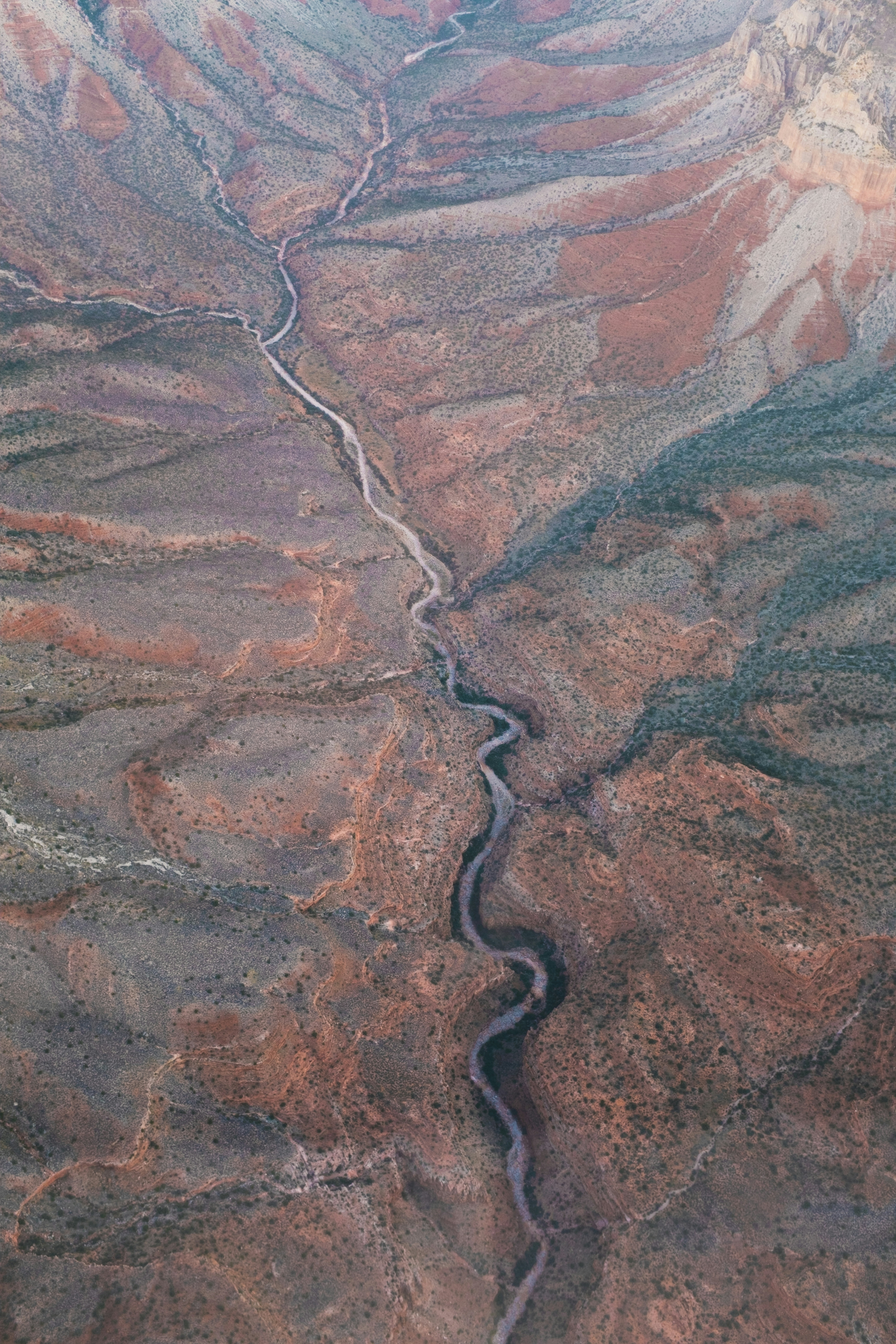 Photo by chrislawton