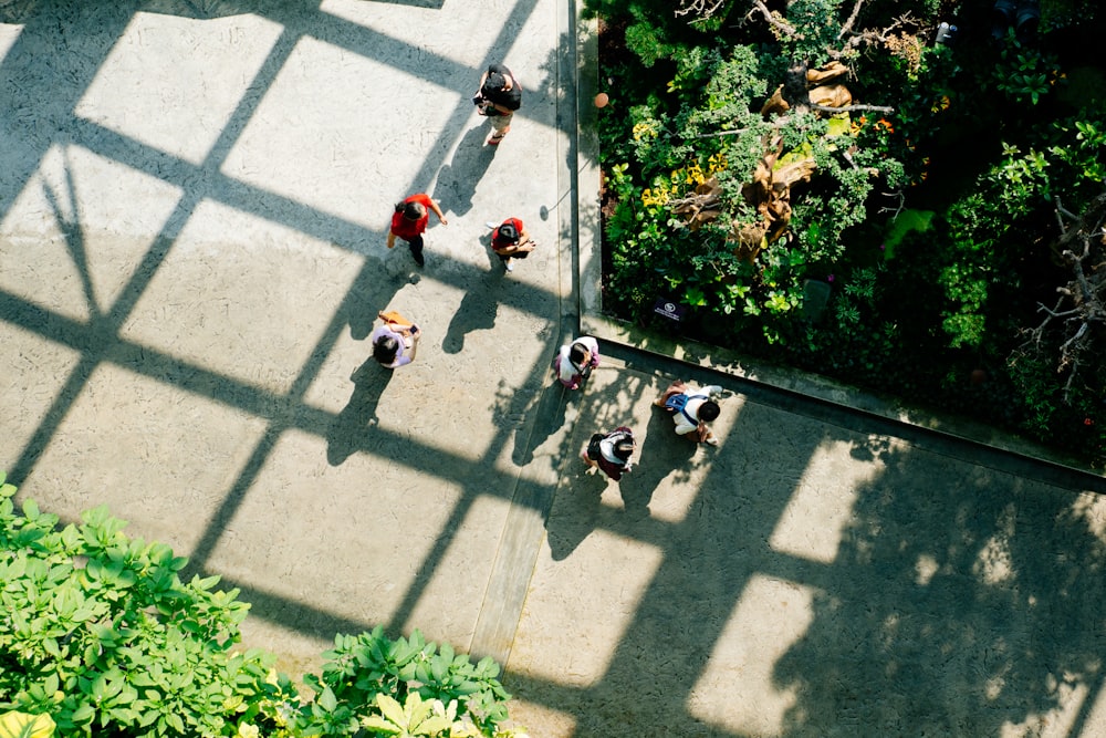 people standing near green plants