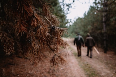 two people walking on pathway