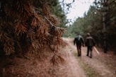 two people walking on pathway