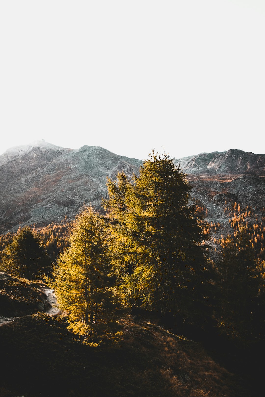 Highland photo spot Zermatt Martigny