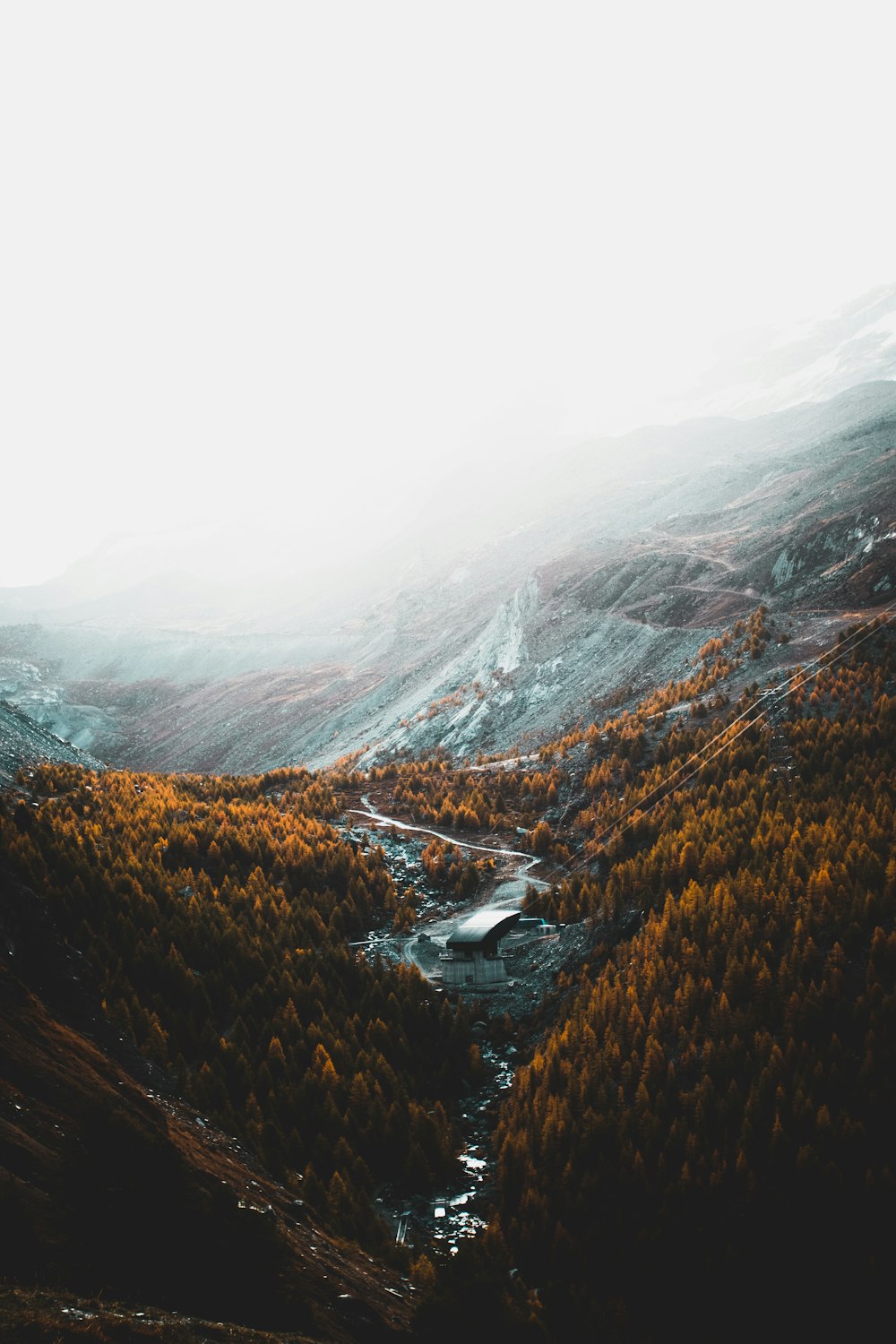 aerial photography of brown trees and mountains under white clouds