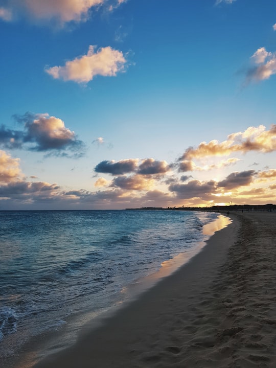 blue ocean in Santa Maria Cape Verde