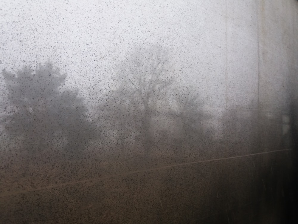 una vista degli alberi attraverso una finestra nebbiosa
