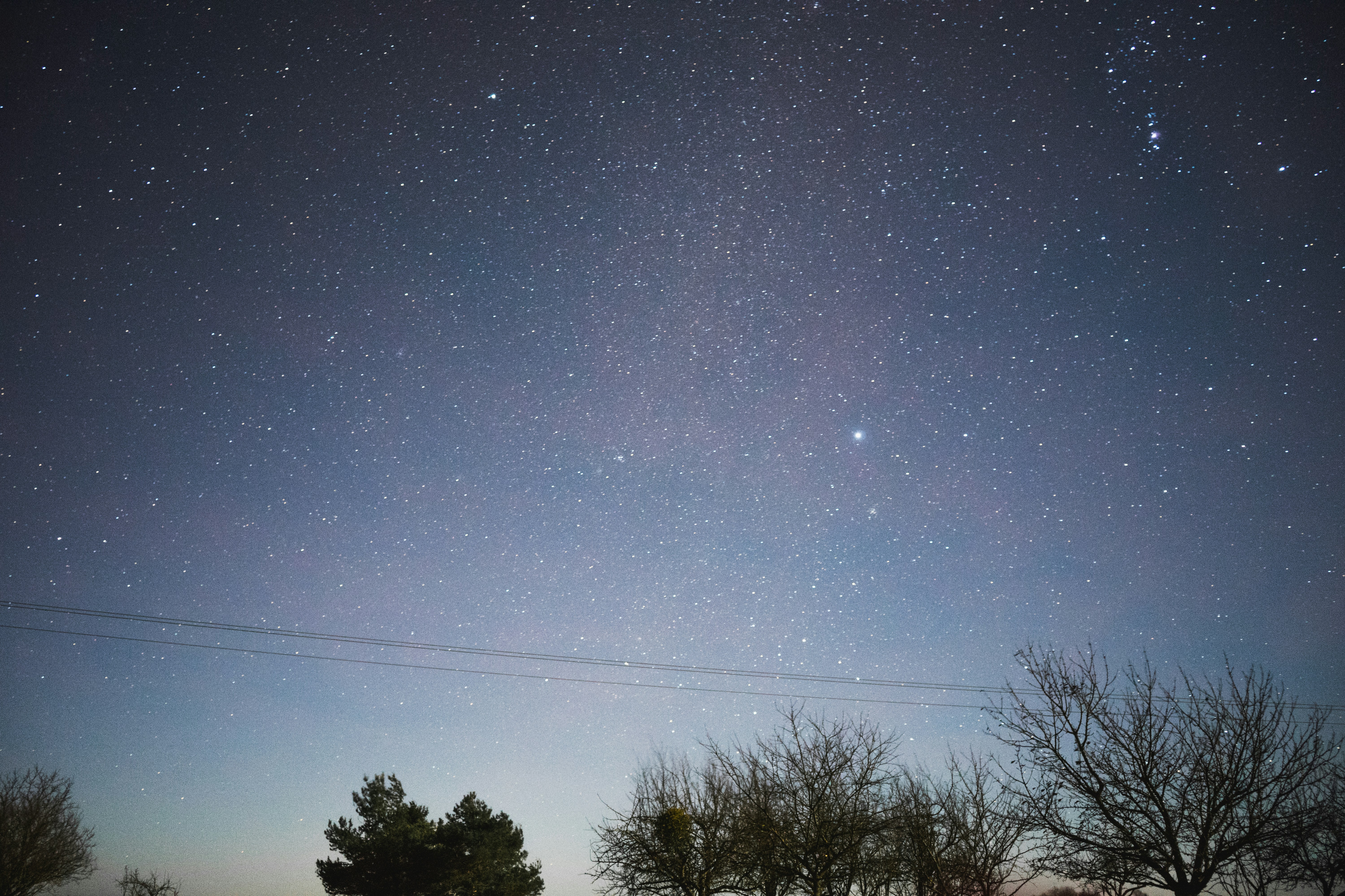 green trees under stars in sky during nighttime