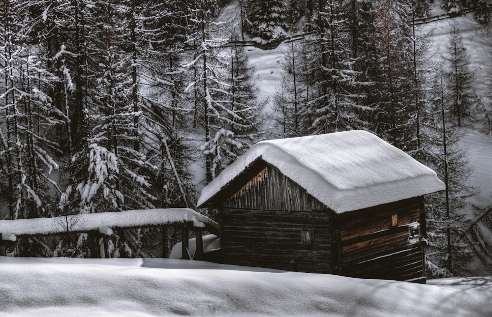 grayscale photography of house near pine trees