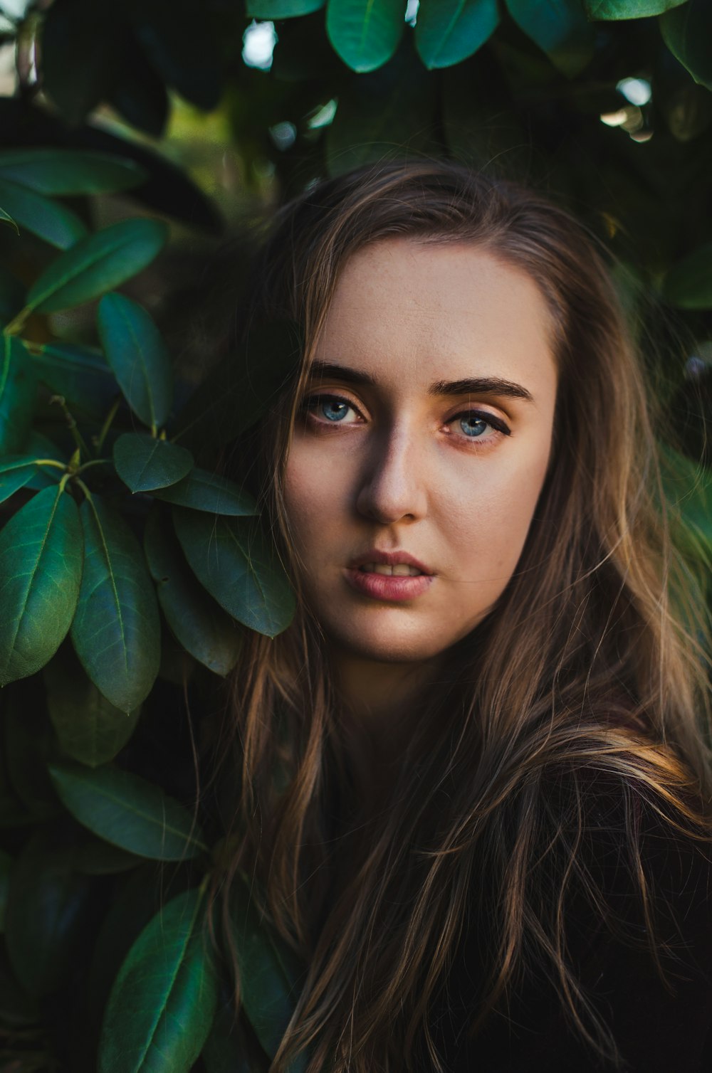 femme aux cheveux bruns près de la plante à feuilles vertes