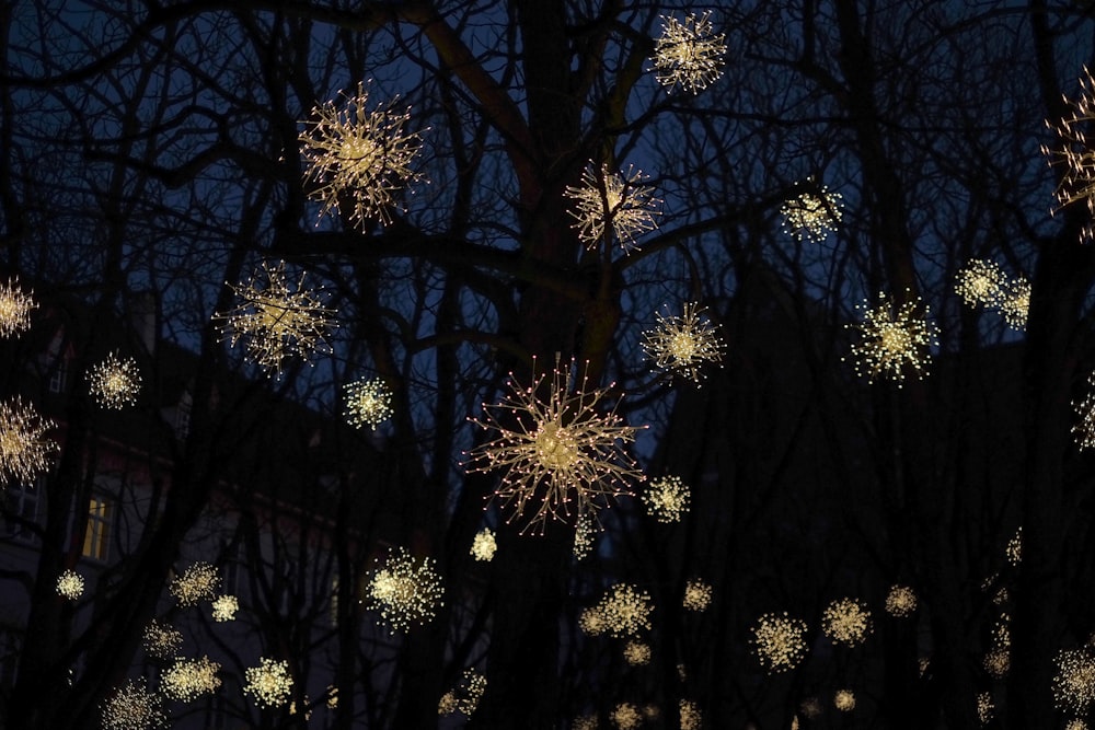 silhouette of bare trees during nighttime