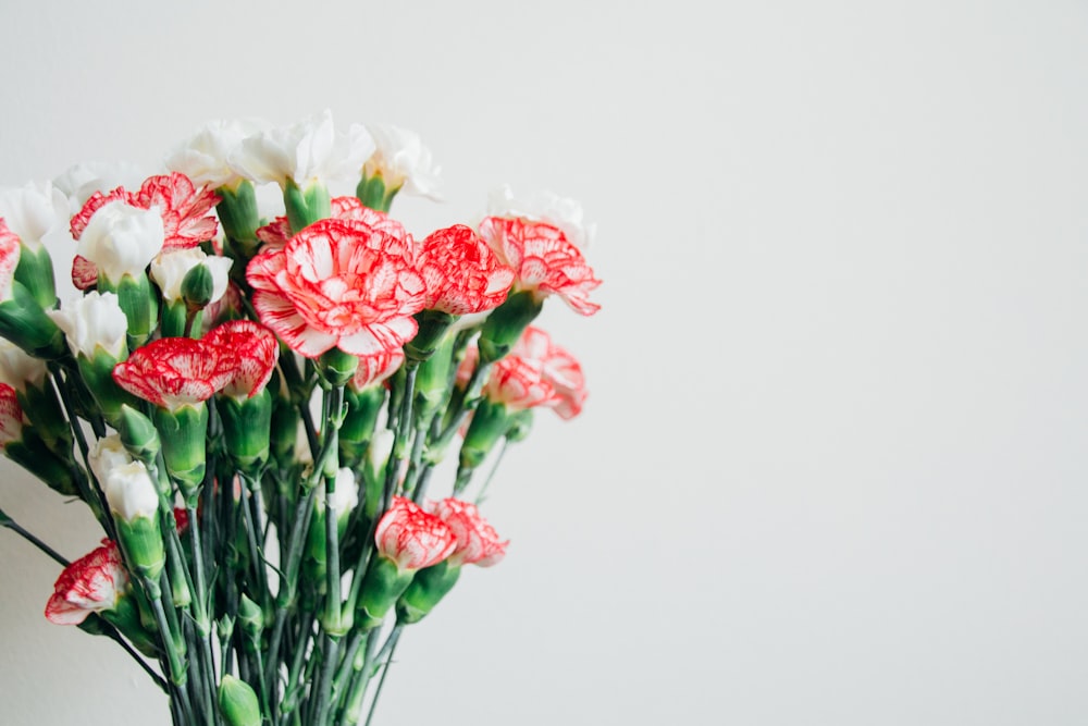 bouquet di fiori rossi e bianchi