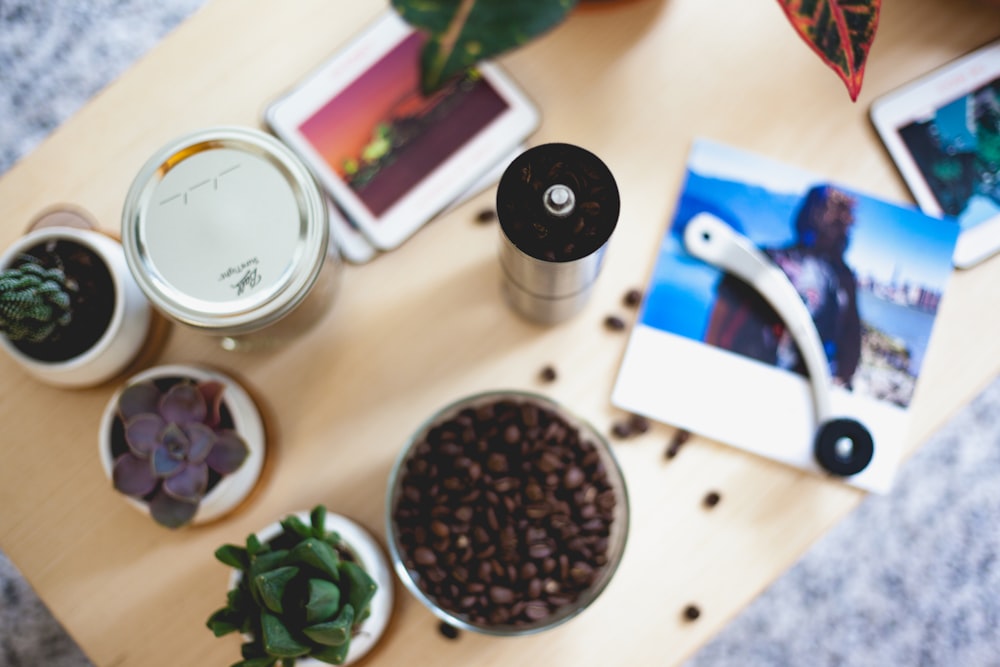 flatlay photography of green succulent plants